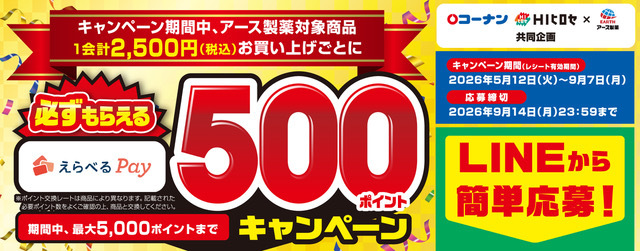 必ずもらえる選べるPay500ポイント